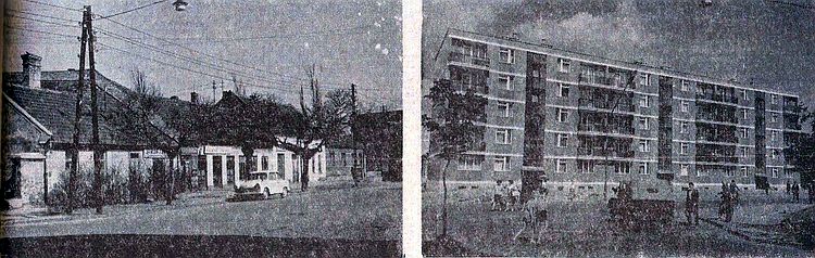 Az újságíró archívumából – Az észszerűtlenség kálváriája