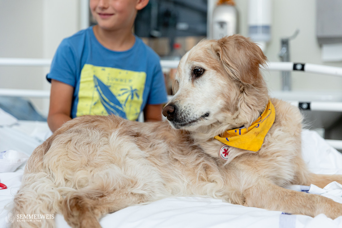 Itthon is terjed az embert, kutyát megbetegítő fertőzés