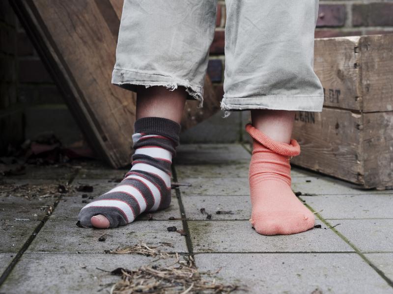 A problémamegoldás bajnokai