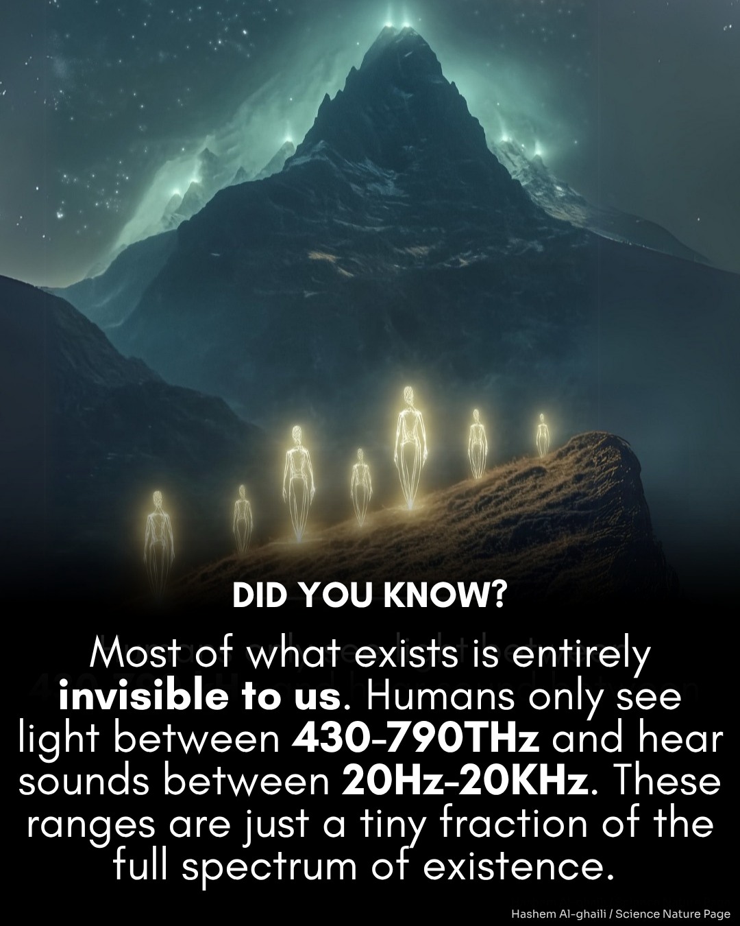 Vakfoltjaink világa – az emberi érzékelés határai