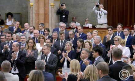 Forsthoffer Ágnes: hatályba lépett a nemzeti vagyonvisszaszerzési hivatal felállításáról szóló törvény (frissítve)