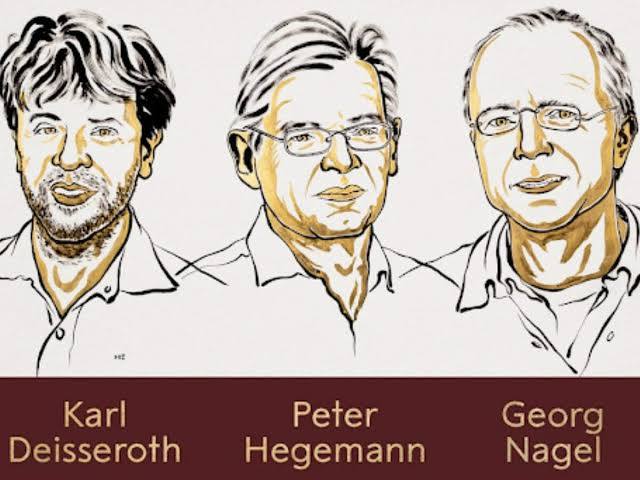 Nobel-dí – Karl Deisseroth, Peter Hegemann és Georg Nagel kapja idén az orvosi-élettani Nobel-díjat